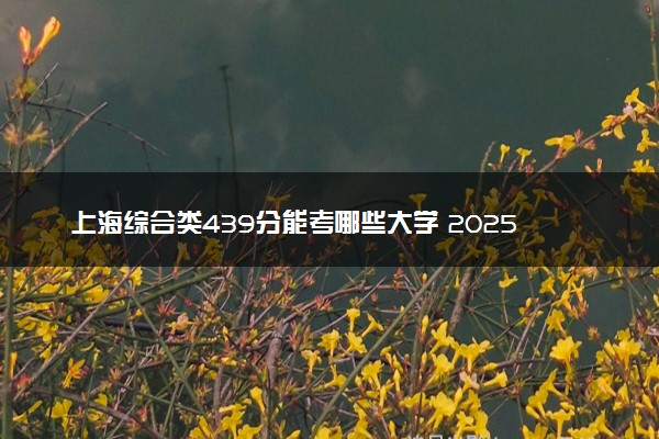 上海综合类439分能考哪些大学 2025考生稳上的大学名单