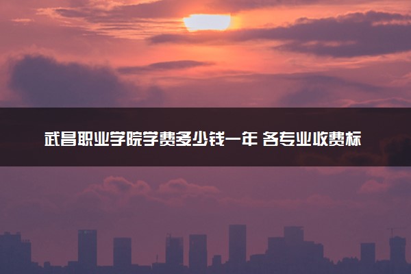 武昌职业学院学费多少钱一年 各专业收费标准（2025年参考）
