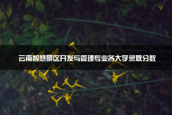 云南智慧景区开发与管理专业各大学录取分数线：最低341分能上 开设院校及位次