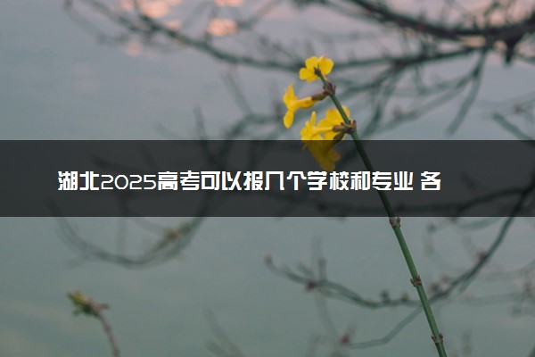 湖北2025高考可以报几个学校和专业 各批次志愿数量汇总