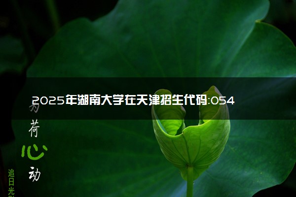 2025年湖南大学在天津招生代码：0545 专业代码及报考指南