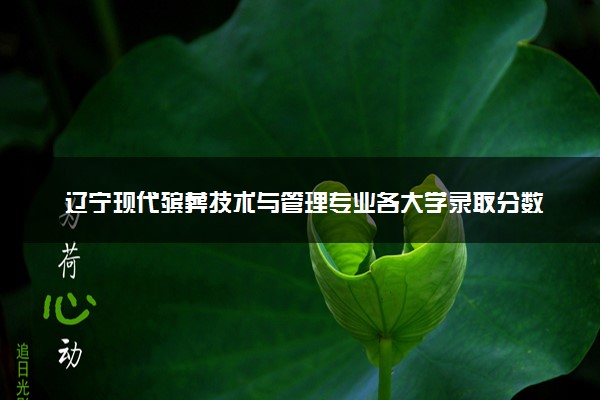 辽宁现代殡葬技术与管理专业各大学录取分数线：最低463分能上 开设院校及位次