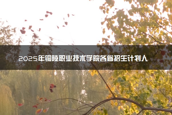 2025年铜陵职业技术学院各省招生计划人数及专业代码学费