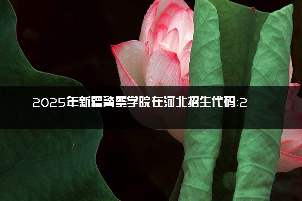 2025年新疆警察学院在河北招生代码：2305 专业代码及报考指南