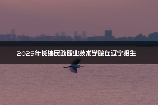 2025年长沙民政职业技术学院在辽宁招生代码及专业代码 长沙民政职业技术学院辽宁代码是多少？怎么查询？
