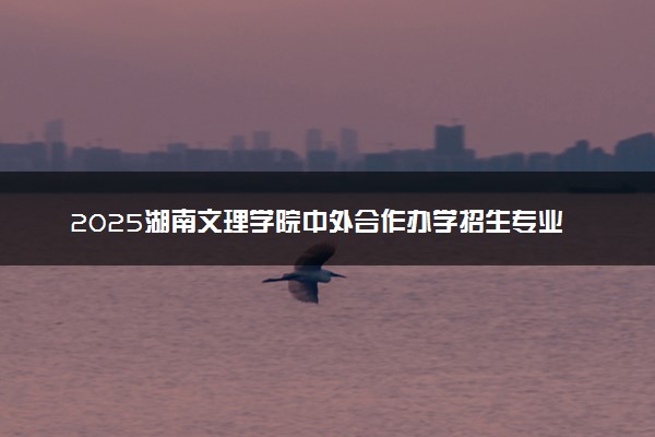 2025湖南文理学院中外合作办学招生专业及计划 最新收费标准