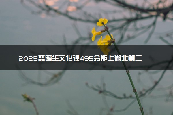 2025舞蹈生文化课495分能上湖北第二师范学院吗