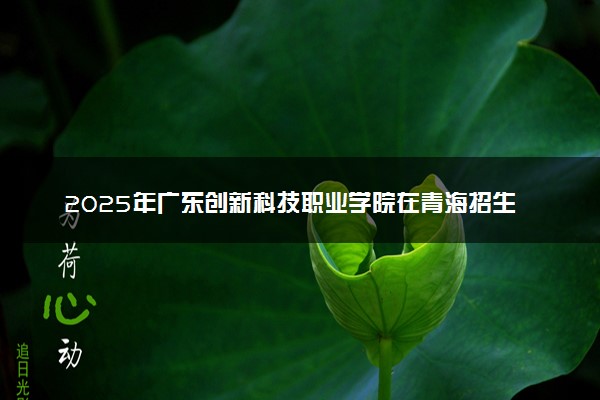 2025年广东创新科技职业学院在青海招生代码：4528 专业代码及报考指南