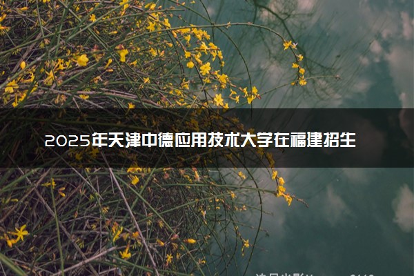 2025年天津中德应用技术大学在福建招生代码：3264 专业代码及报考指南