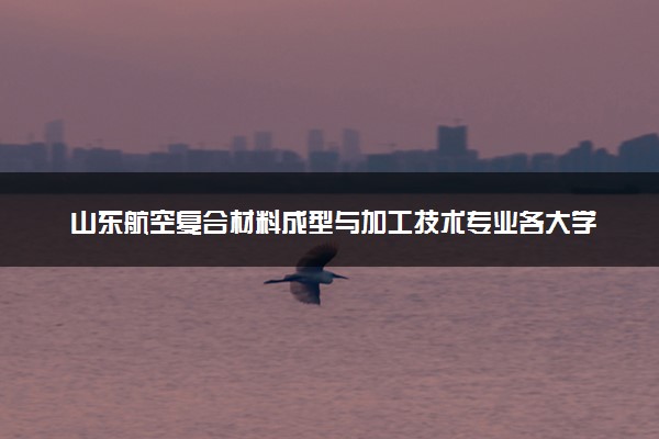 山东航空复合材料成型与加工技术专业各大学录取分数线：最低269分能上 开设院校及位次