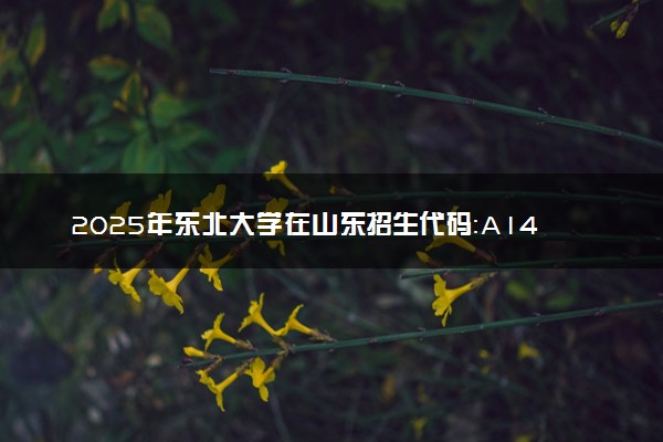 2025年东北大学在山东招生代码：A145 专业代码及报考指南