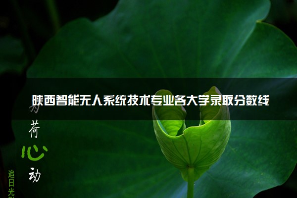 陕西智能无人系统技术专业各大学录取分数线：最低532分能上 开设院校及位次