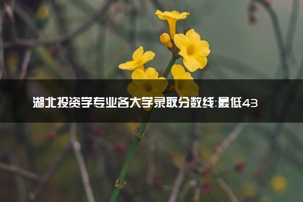 湖北投资学专业各大学录取分数线：最低432分能上 开设院校及位次
