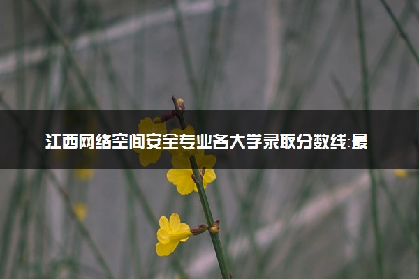 江西网络空间安全专业各大学录取分数线：最低455分能上 开设院校及位次