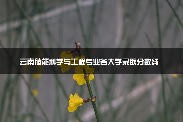 云南储能科学与工程专业各大学录取分数线：最低449分能上 开设院校及位次