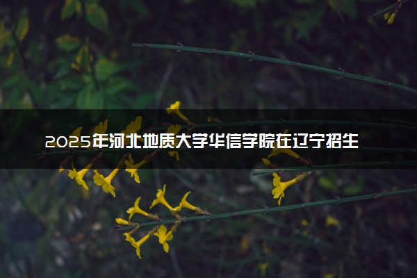 2025年河北地质大学华信学院在辽宁招生代码及专业代码 河北地质大学华信学院辽宁代码是多少？怎么查询？