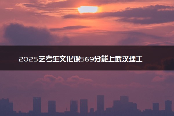 2025艺考生文化课569分能上武汉理工大学吗