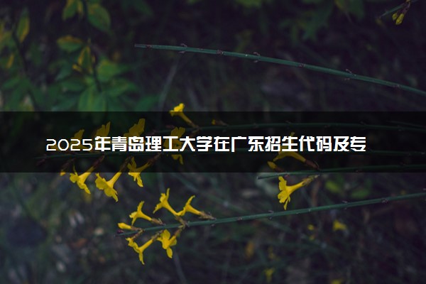 2025年青岛理工大学在广东招生代码及专业代码 青岛理工大学广东代码是多少？怎么查询？