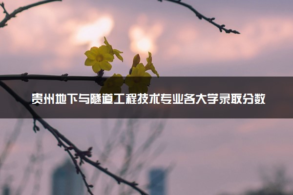 贵州地下与隧道工程技术专业各大学录取分数线：最低266分能上 开设院校及位次