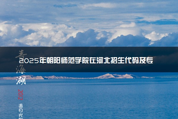 2025年朝阳师范学院在河北招生代码及专业代码 朝阳师范学院河北代码是多少？怎么查询？