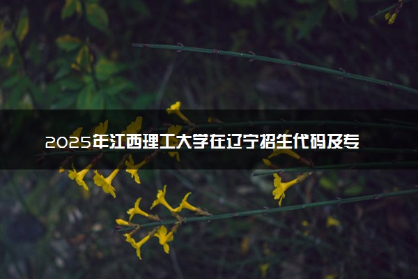 2025年江西理工大学在辽宁招生代码及专业代码 江西理工大学辽宁代码是多少？怎么查询？