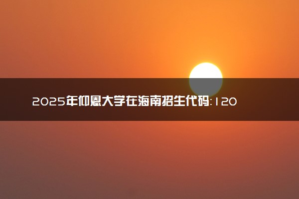 2025年仰恩大学在海南招生代码：1208 专业代码及报考指南