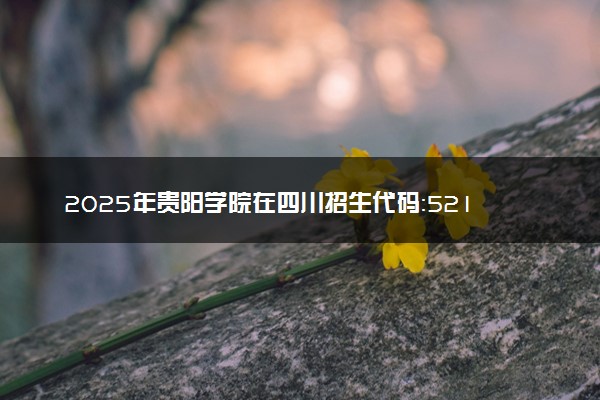 2025年贵阳学院在四川招生代码：5213 专业代码及报考指南