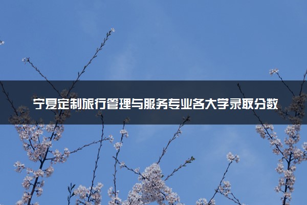 宁夏定制旅行管理与服务专业各大学录取分数线：最低324分能上 开设院校及位次