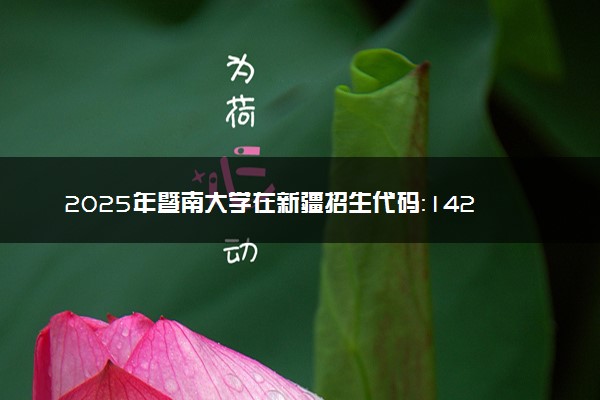 2025年暨南大学在新疆招生代码：1427 专业代码及报考指南