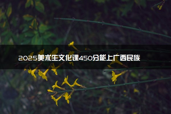 2025美术生文化课450分能上广西民族大学吗