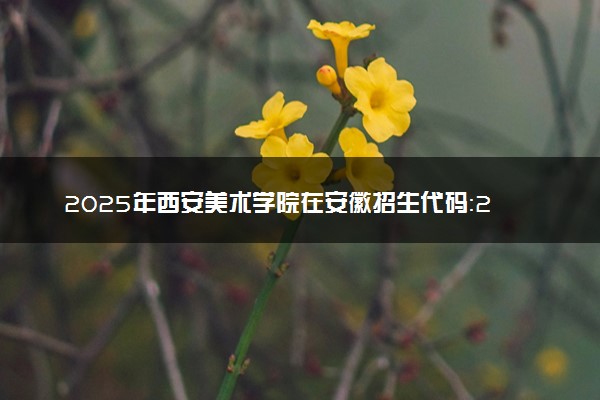 2025年西安美术学院在安徽招生代码：2696 专业代码及报考指南