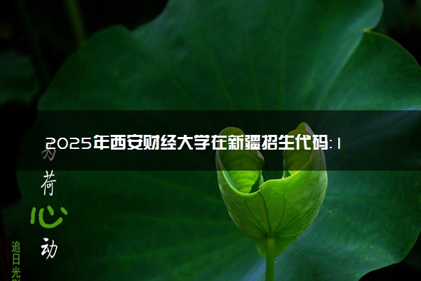 2025年西安财经大学在新疆招生代码：1826 专业代码及报考指南