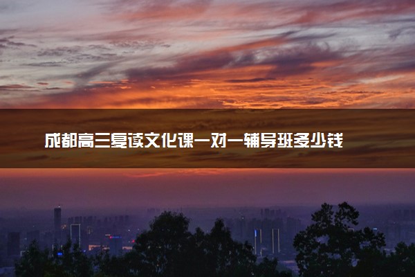 成都高三复读文化课一对一辅导班多少钱