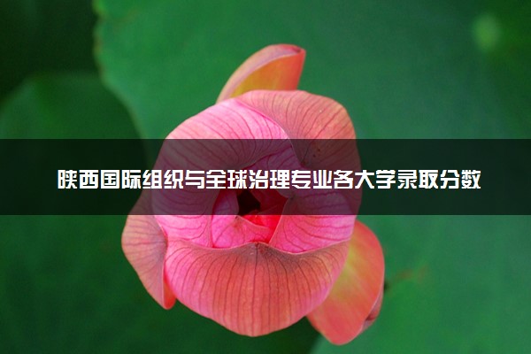 陕西国际组织与全球治理专业各大学录取分数线：最低488分能上 开设院校及位次