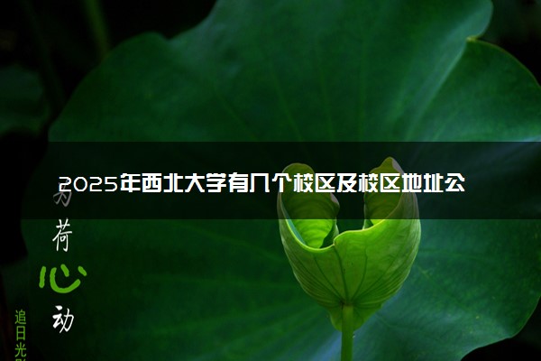 2025年西北大学有几个校区及校区地址公交站点周边环境 新生在哪个校区