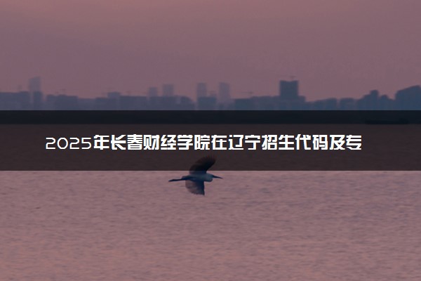 2025年长春财经学院在辽宁招生代码及专业代码 长春财经学院辽宁代码是多少？怎么查询？