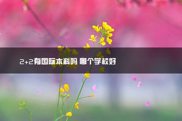 2+2有国际本科吗 哪个学校好