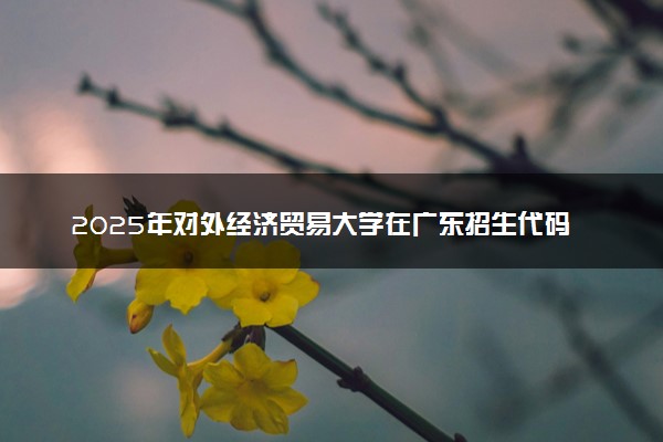 2025年对外经济贸易大学在广东招生代码及专业代码 对外经济贸易大学广东代码是多少？怎么查询？
