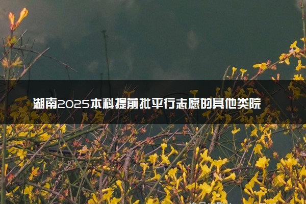 湖南2025本科提前批平行志愿的其他类院校征集志愿投档线(普通类)