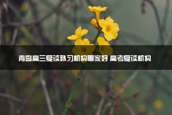 青岛高三复读补习机构哪家好 高考复读机构推荐与选择