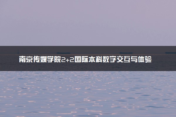 南京传媒学院2+2国际本科数字交互与体验设计专业介绍