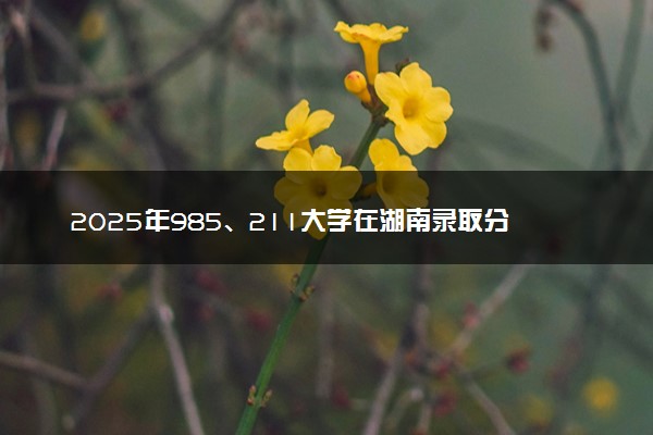 2025年985、211大学在湖南录取分数线及位次