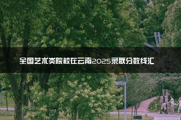 全国艺术类院校在云南2025录取分数线汇总