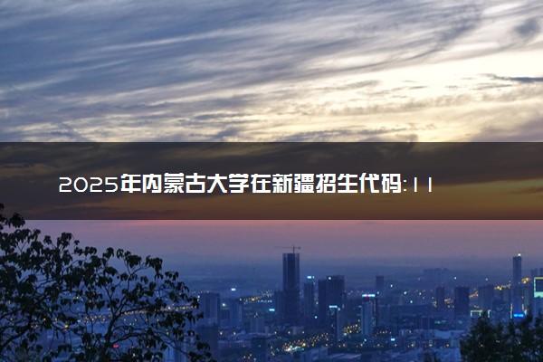 2025年内蒙古大学在新疆招生代码：1107 专业代码及报考指南