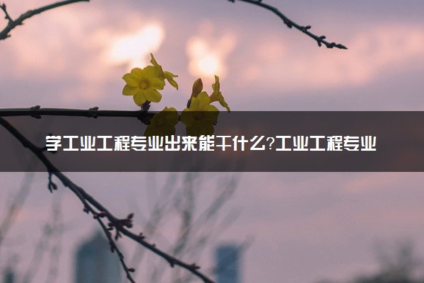 学工业工程专业出来能干什么？工业工程专业就业方向及就业前景 最好大学推荐