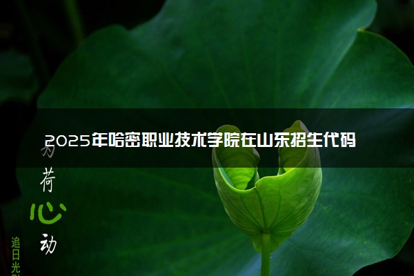 2025年哈密职业技术学院在山东招生代码：E524 专业代码及报考指南