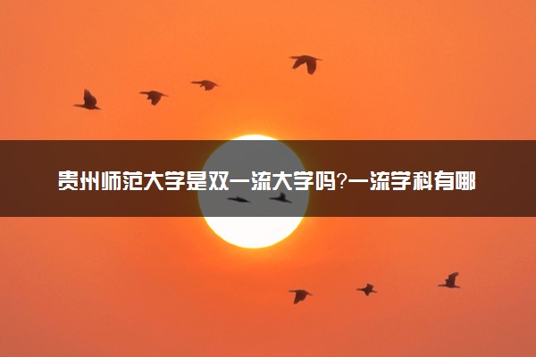贵州师范大学是双一流大学吗？一流学科有哪些及历年分数线位次