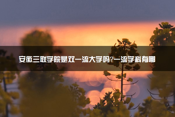 安徽三联学院是双一流大学吗？一流学科有哪些及历年分数线位次