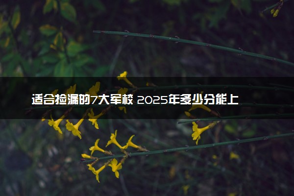 适合捡漏的7大军校 2025年多少分能上