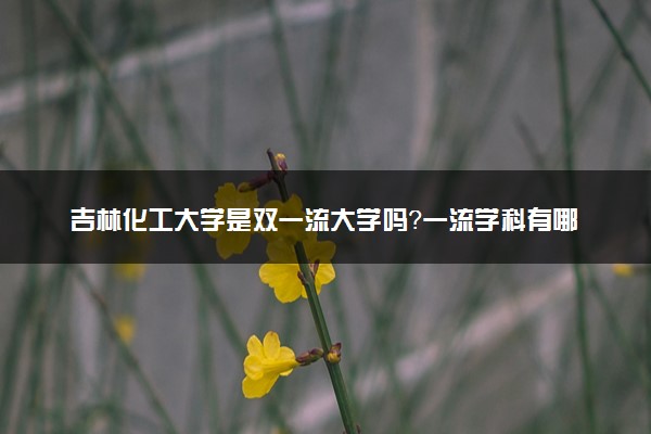 吉林化工大学是双一流大学吗？一流学科有哪些及历年分数线位次